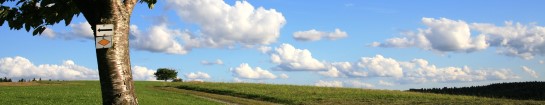Ehering verloren? Oder suchen Sie nach Schlüsseln, Münzen oder Schätzen? Wir helfen Ihnen bei der Suche – leihen Sie sich einen Metalldetektor aus!