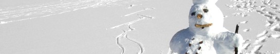 Ehering verloren? Oder suchen Sie nach Schlüsseln, Münzen oder Schätzen? Wir helfen Ihnen bei der Suche – leihen Sie sich einen Metalldetektor aus!