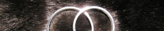 Ehering verloren? Oder suchen Sie nach Schlüsseln, Münzen oder Schätzen? Wir helfen Ihnen bei der Suche – leihen Sie sich einen Metalldetektor aus!